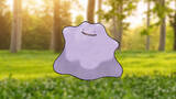 Image for Where to find Ditto in Pokémon Scarlet and Violet